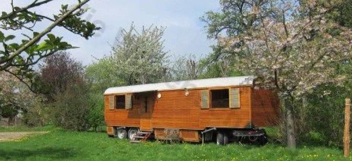 -Tiny House im Grünen