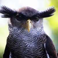 Filme, die mich bewegen-Meine Lebensfilme